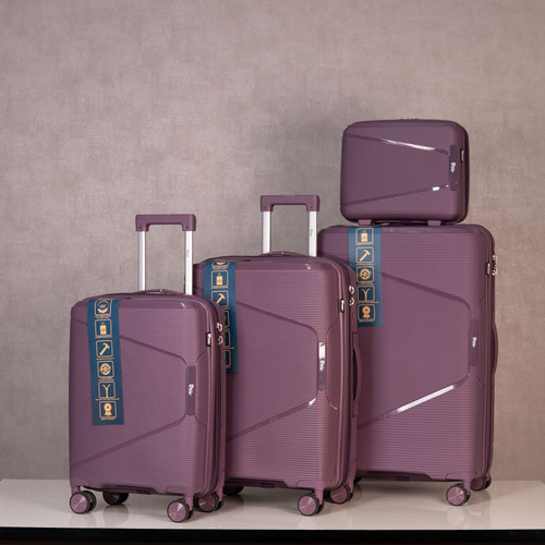 چمدان ریکاردو Ricardo